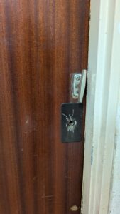 vachette radialis securibloc 2